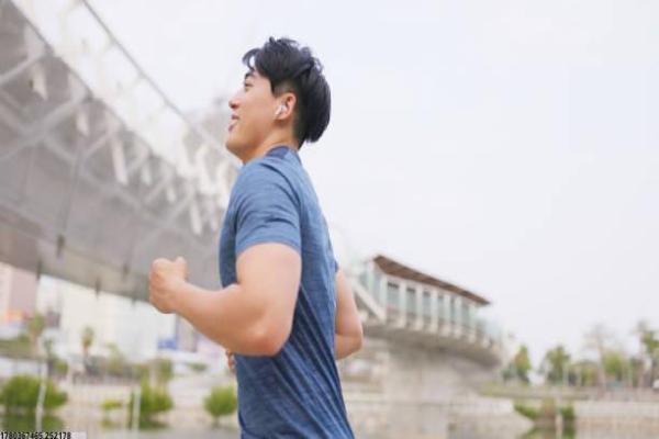体育项目的内容元素与精确分类标准